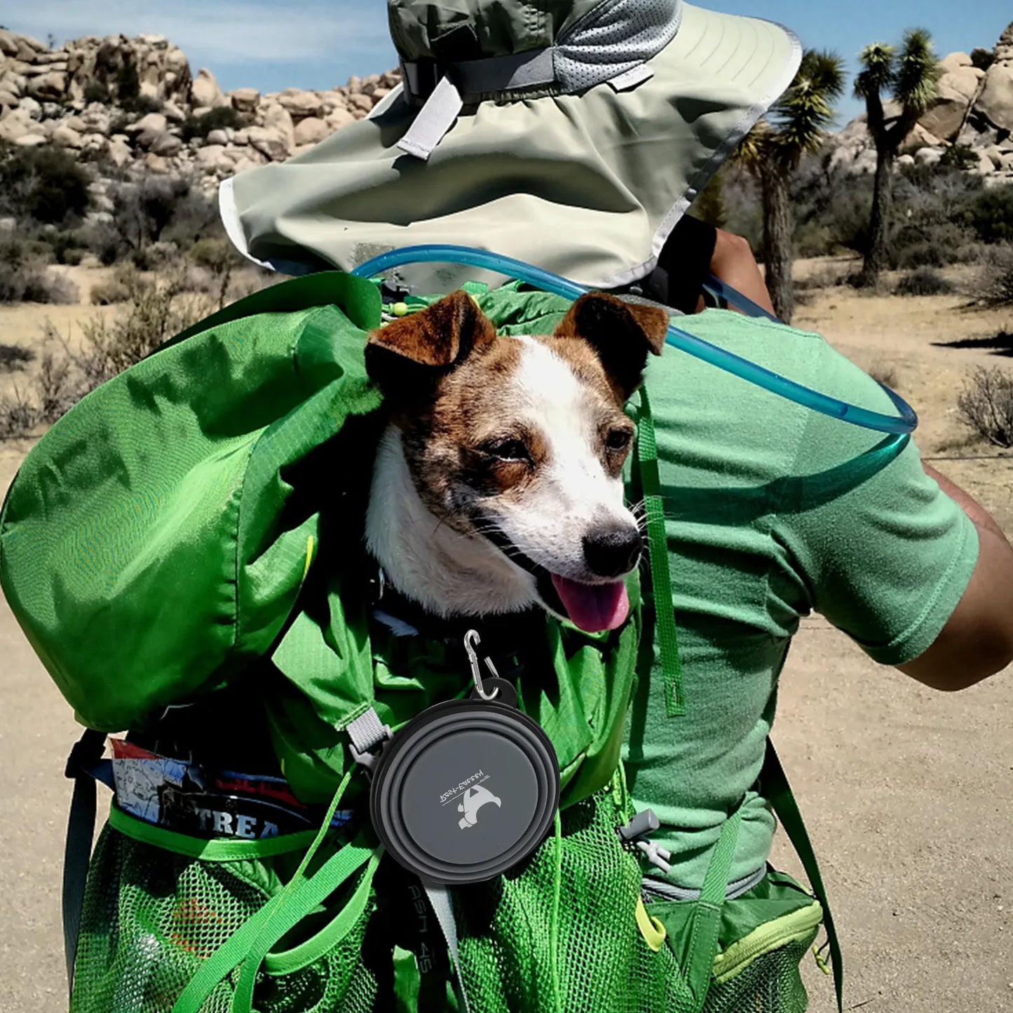 2-Pack Collapsible Dog Bowls for Travel Pet Portable Water Bowl for Travel Camping with 2 Carabiner Hooks