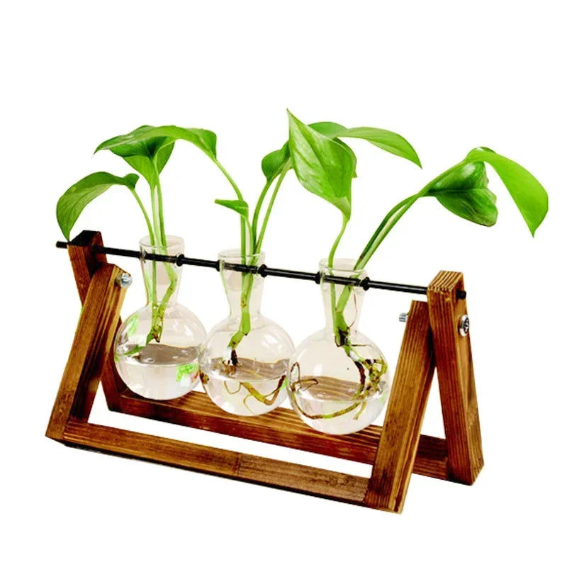 Bonsai Decor Flower Vase Plant Transparent Vase Wooden Frame Vase