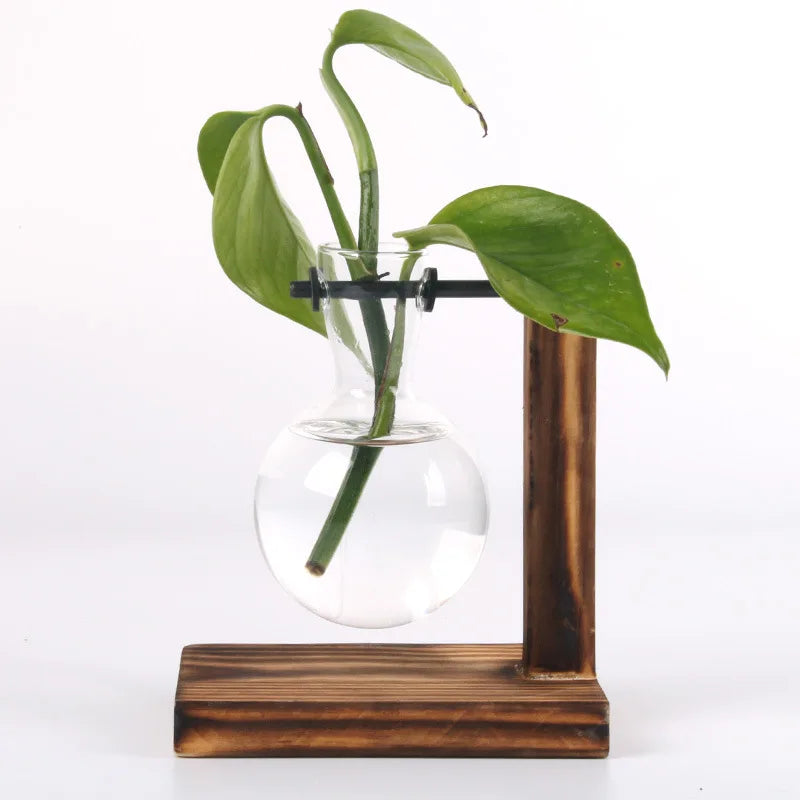 Hydroponische Pflanze Terrarium Vasevase Dekoration Home Glasflasche