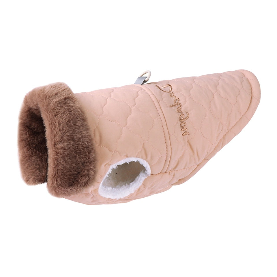 Veste d'hiver pour petits chiens - imperméable - Bouledogue Français - Chihuahua