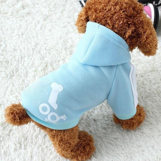 Veste d'hiver pour chien Adidas