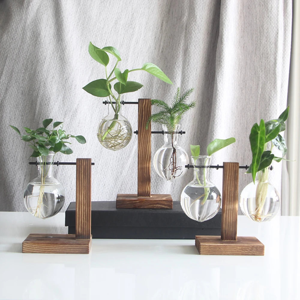 Creative Glass Desktop Planter Bulb Vase Wooden Stand