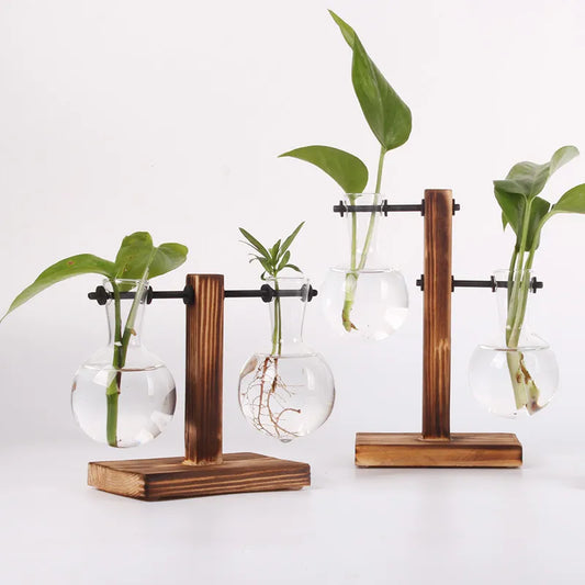 Hydroponische Pflanze Terrarium Vasevase Dekoration Home Glasflasche