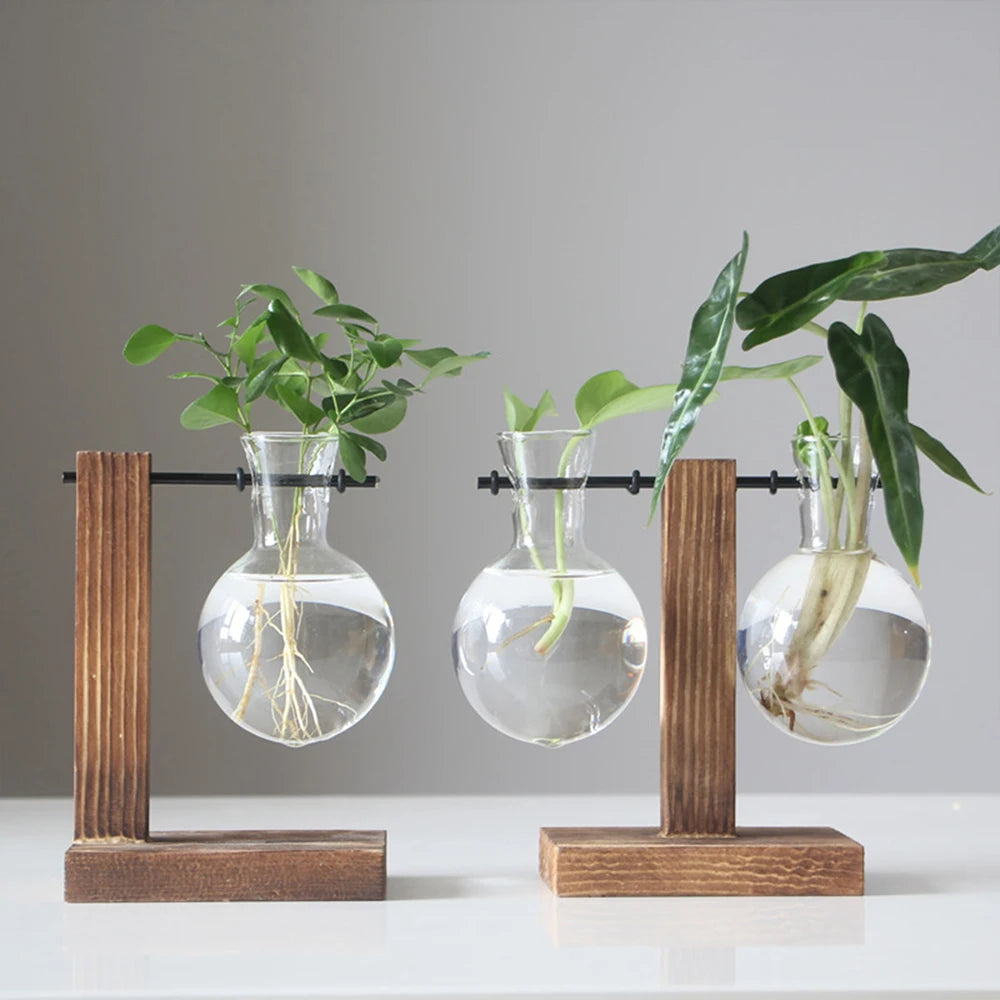 Creative Glass Desktop Planter Bulb Vase Wooden Stand