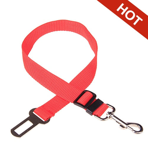 Ceinture de sécurité réglable pour animaux de compagnie pour chats et chiens