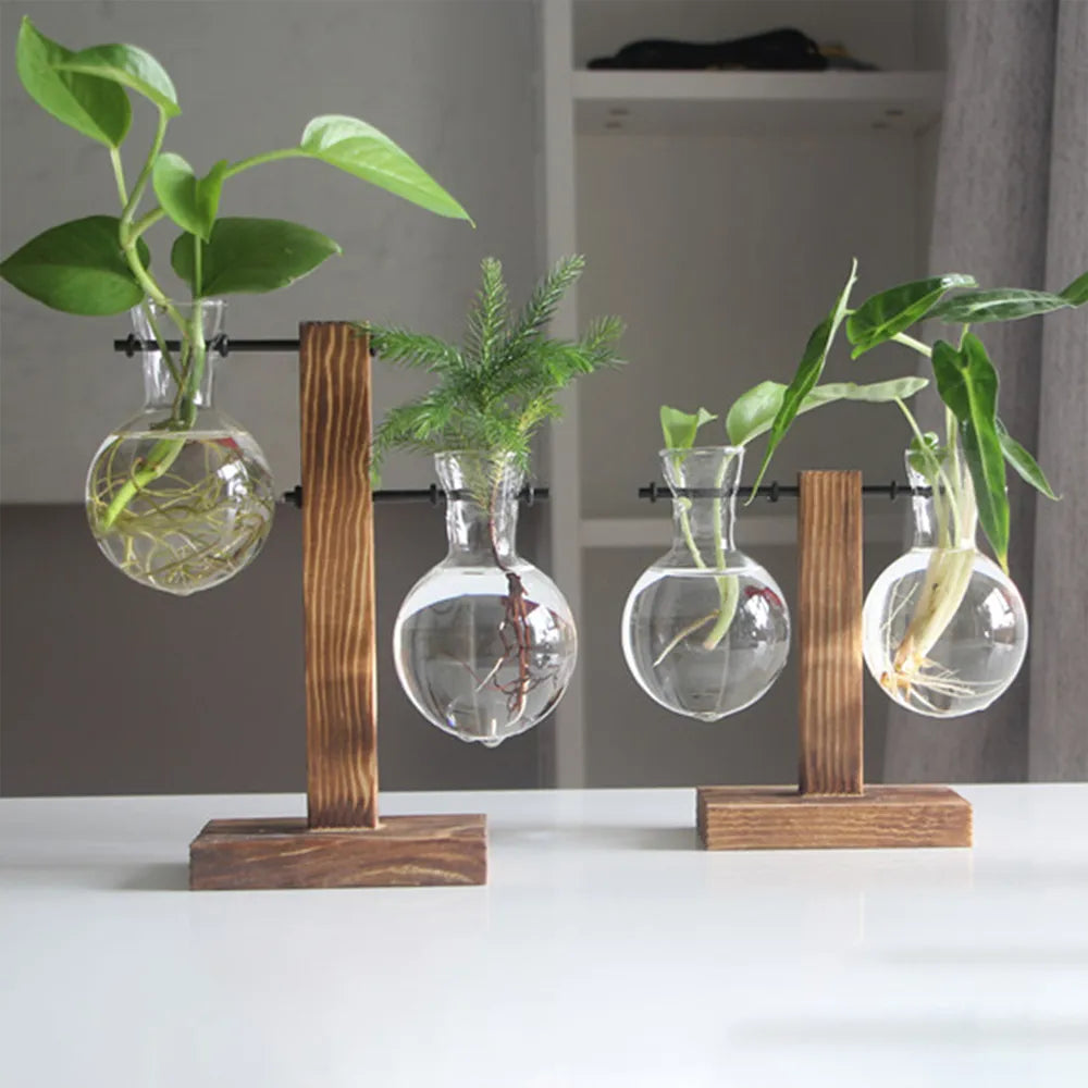 Creative Glass Desktop Planter Bulb Vase Wooden Stand